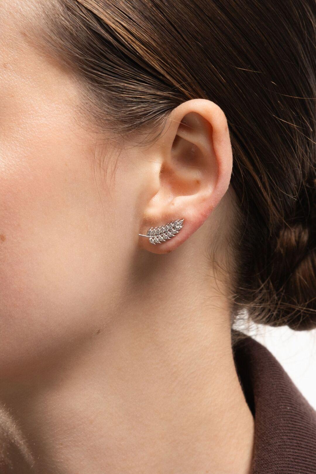 Зображення Срібні жіночі сережки Пір'я