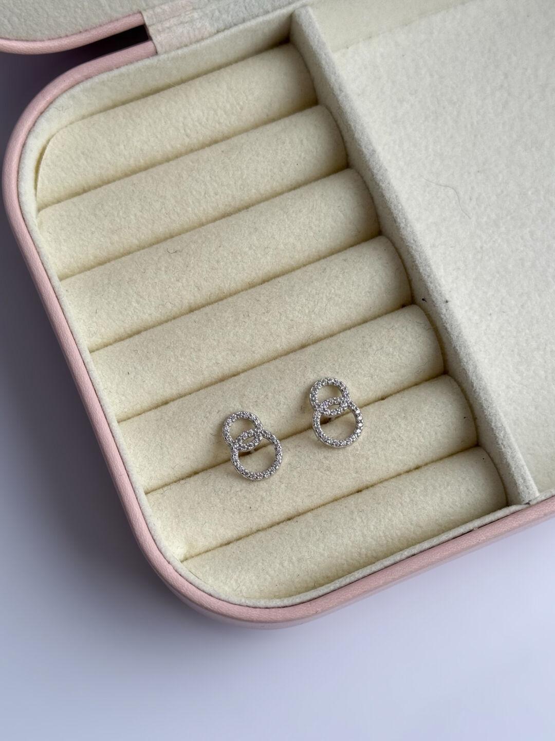 Зображення Срібні сережки гвоздики Два кола 